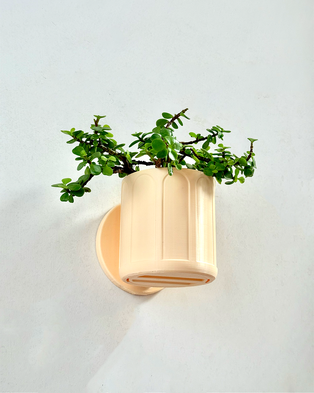 Self Watering Wall Planter