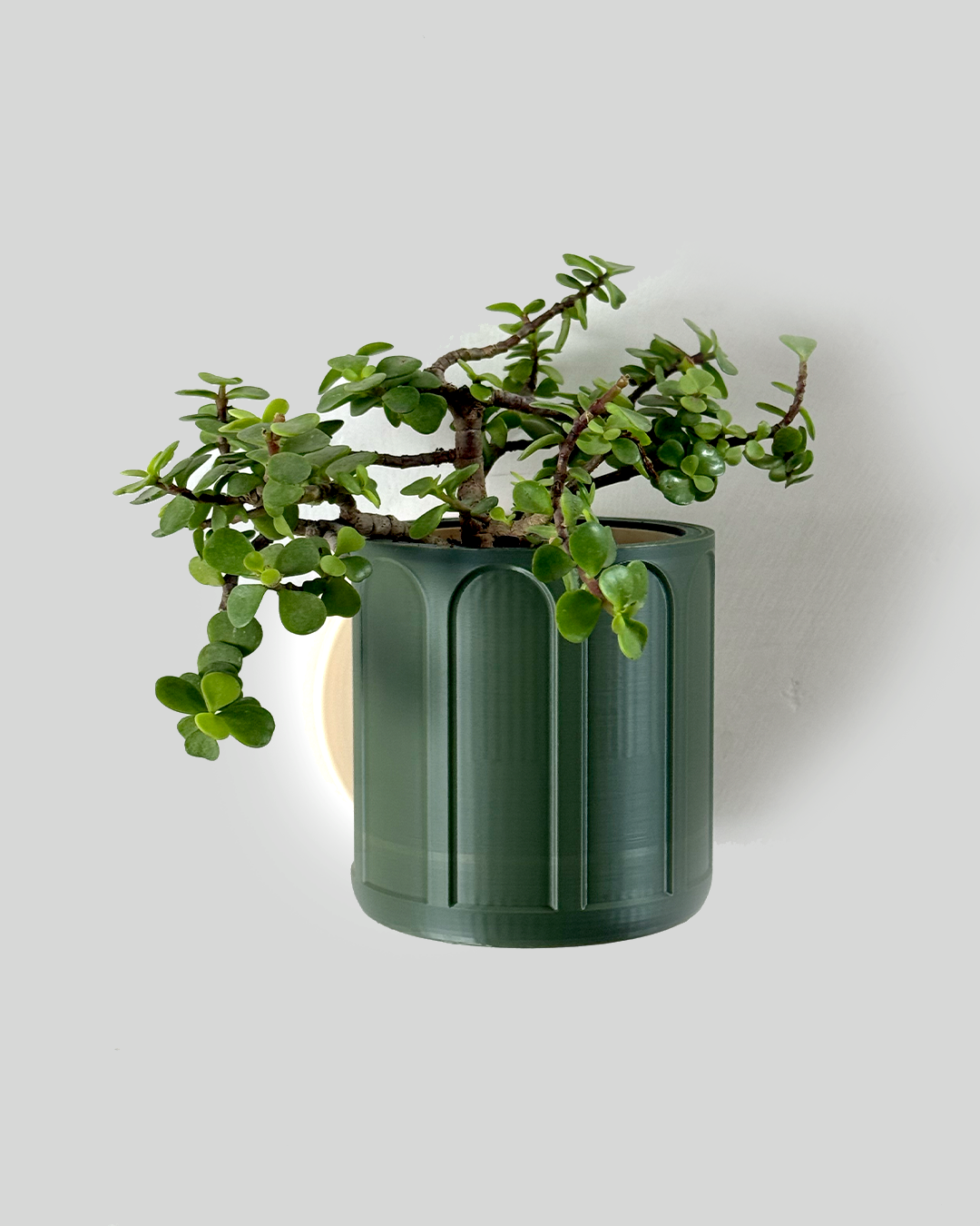 Self Watering Wall Planter