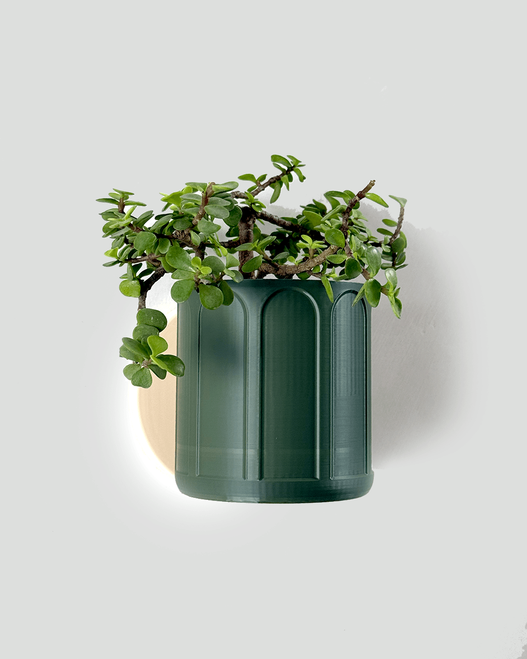 Self Watering Wall Planter - 1019