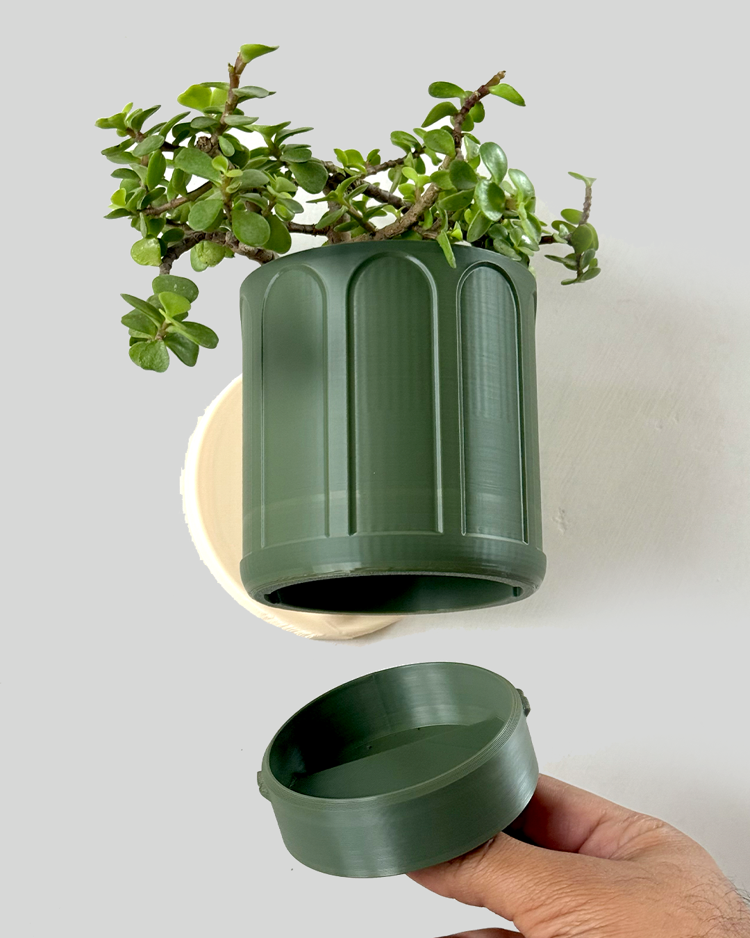 Self Watering Wall Planter