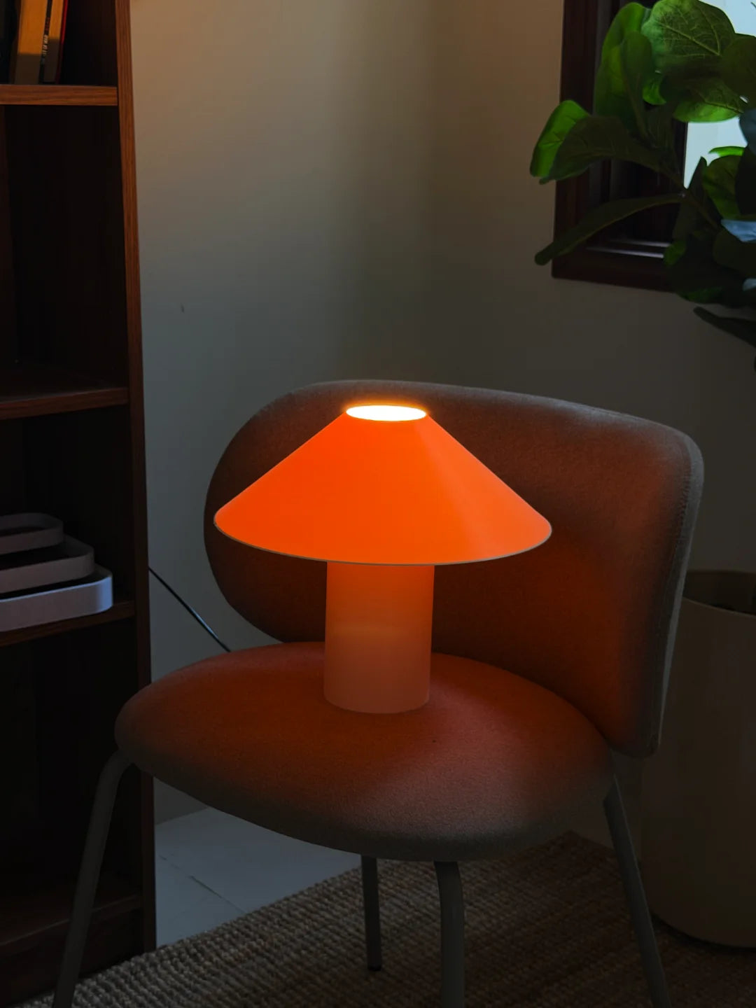 Lisse XL