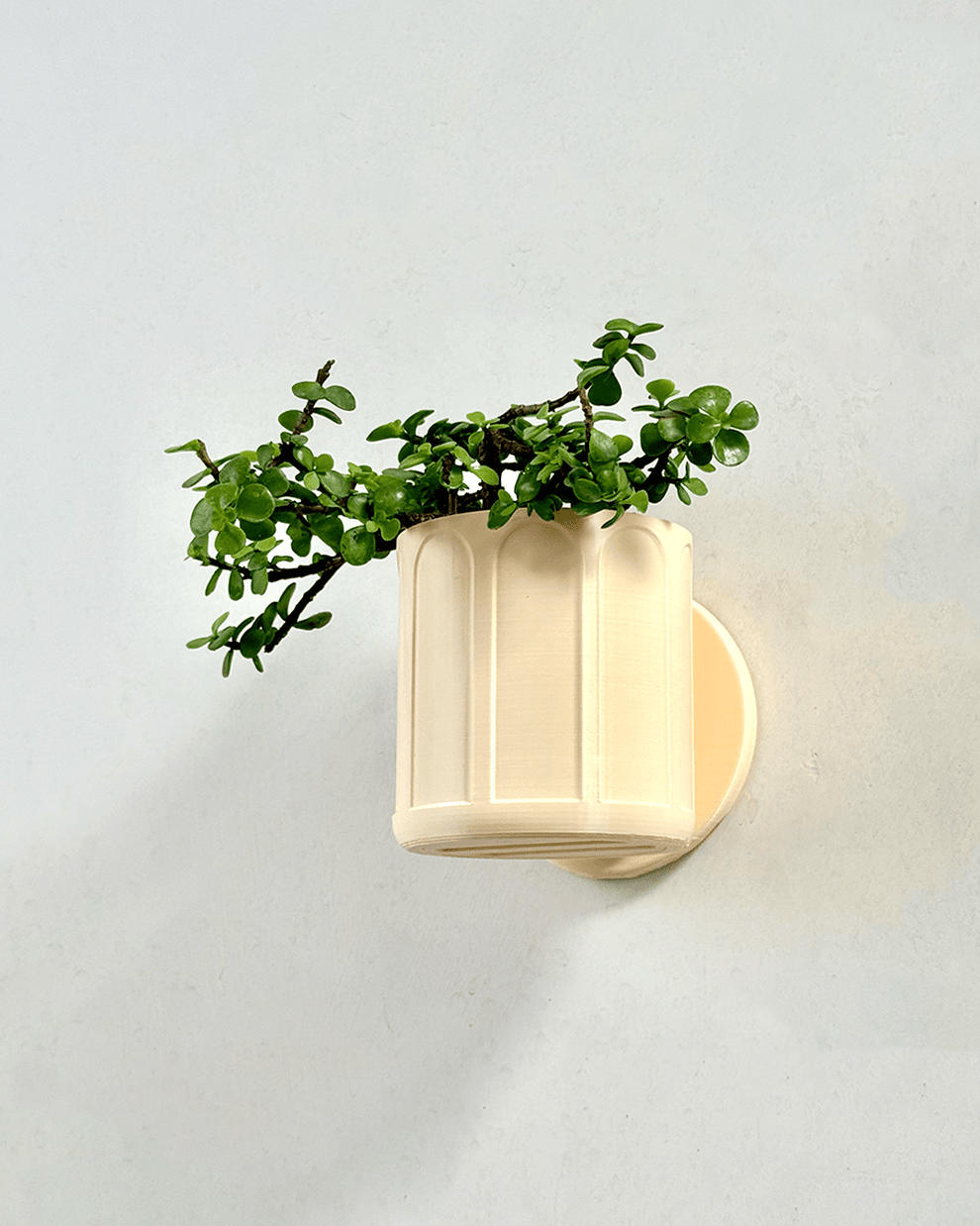 Self Watering Wall Planter – Dophari