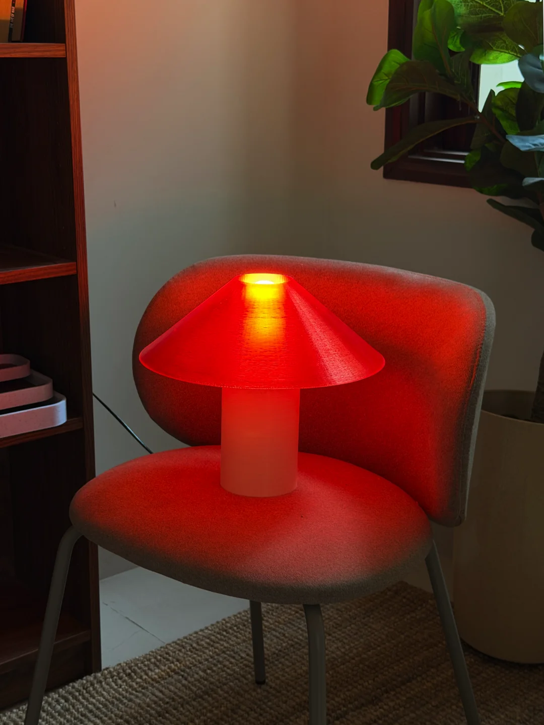 Lisse XL