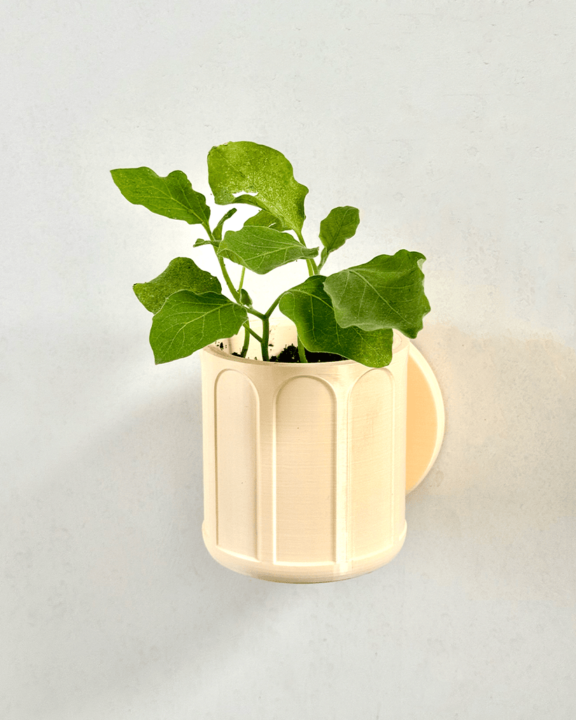 Self Watering Wall Planter – Dophari - Self Watering Wall Planter Set