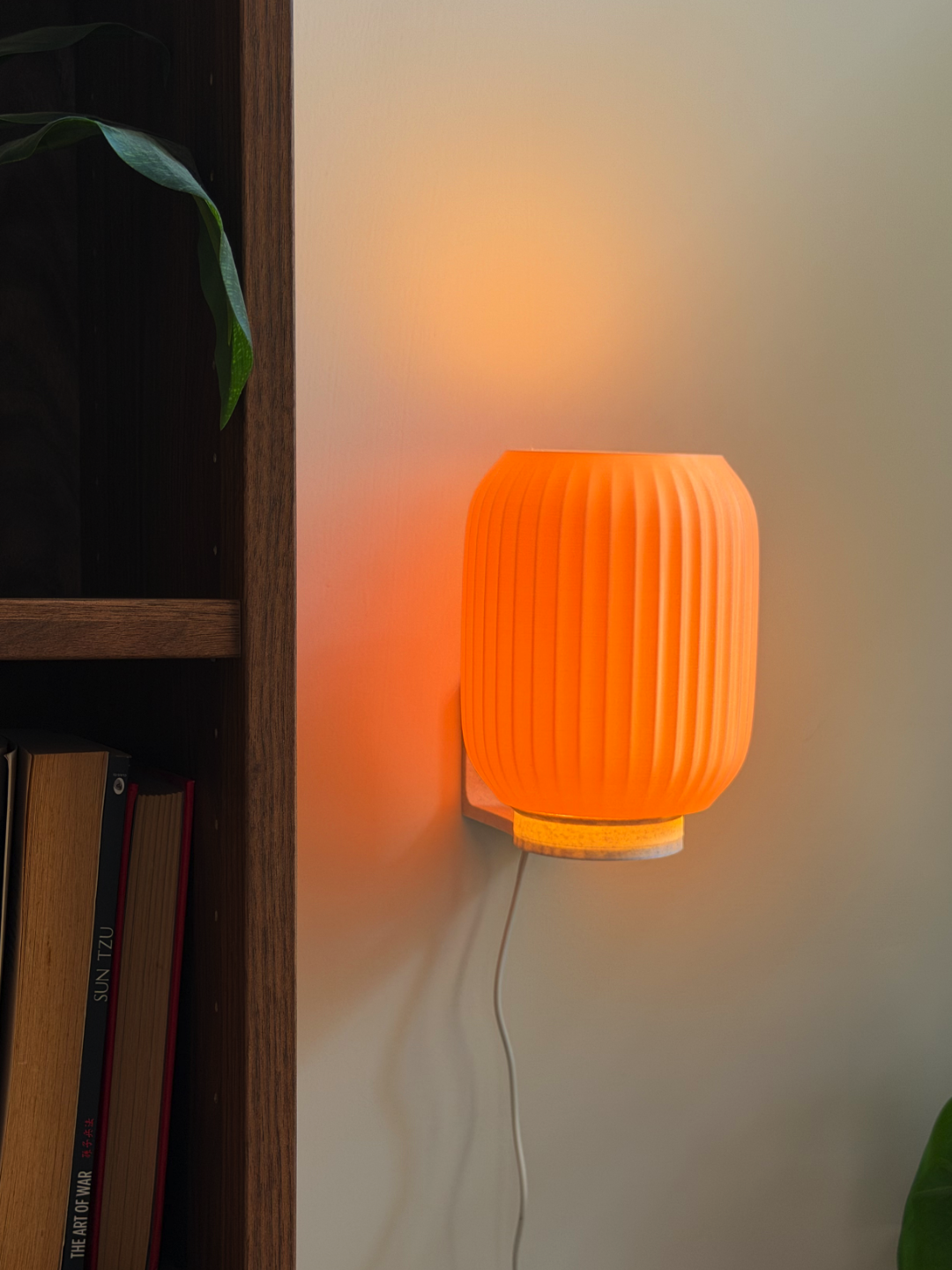 Solis Plug-In Wall Lamp